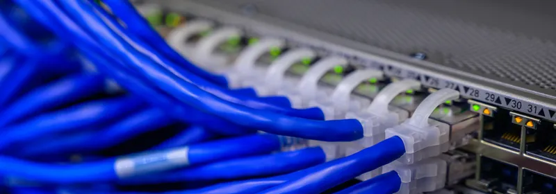 Blue network cables plugged into switch ports